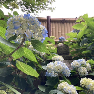 年間管理費不要